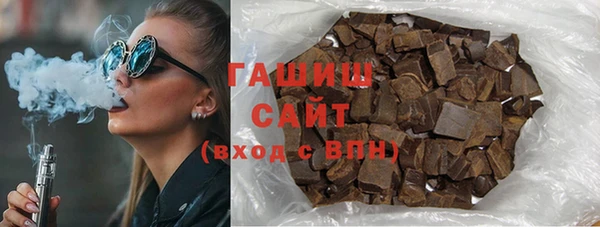 индика Володарск
