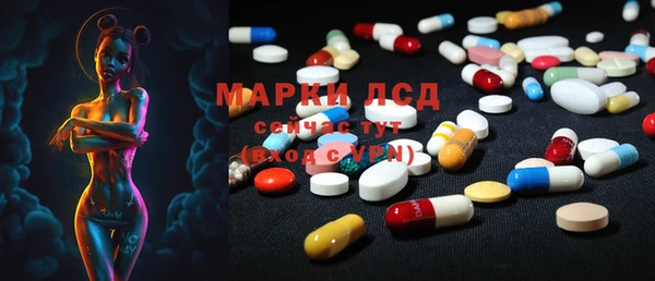 мяу мяу мука Корсаков
