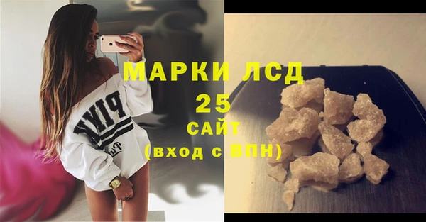 индика Володарск