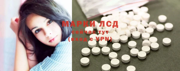 индика Володарск