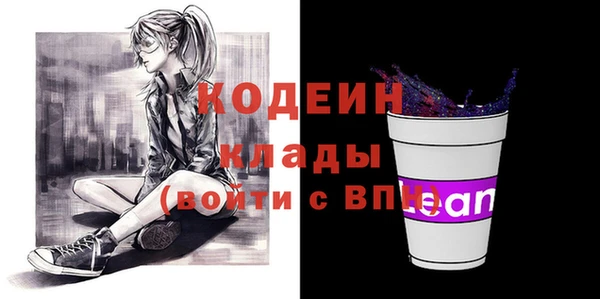 индика Володарск