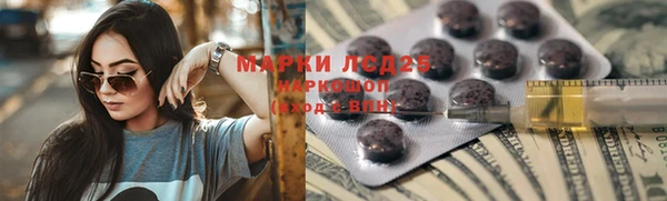 индика Володарск