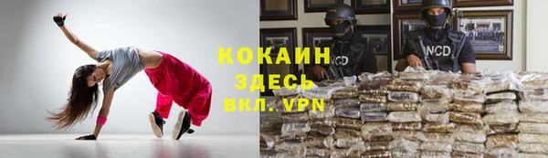 мяу мяу мука Корсаков