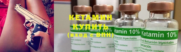 индика Володарск