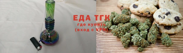 индика Володарск