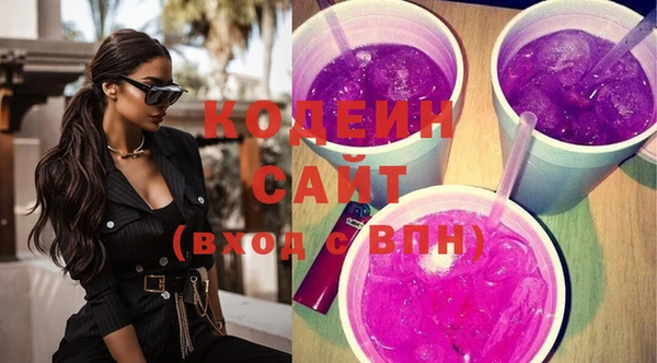 индика Володарск