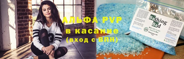индика Володарск