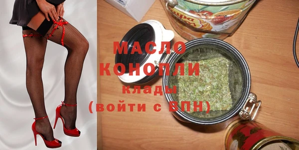 индика Володарск
