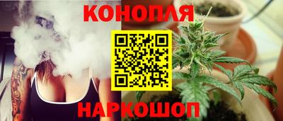 apvp Камышлов