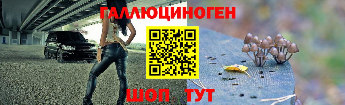 Минеральные Воды  Галлюциногенные грибы мицелий  купить закладку  Вход с VPN  Псилоцибиновые грибы Cubensis 