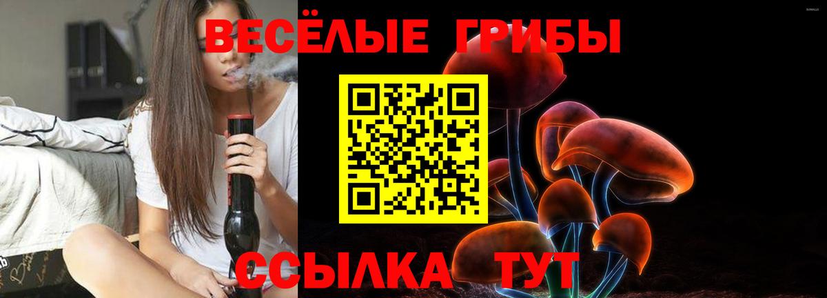 Галлюциногенные грибы GOLDEN TEACHER Минеральные Воды